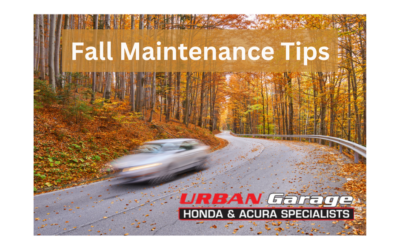Fall Maintenance Tips for your Car