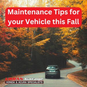 Urban Garage Fall Maintenance Tips